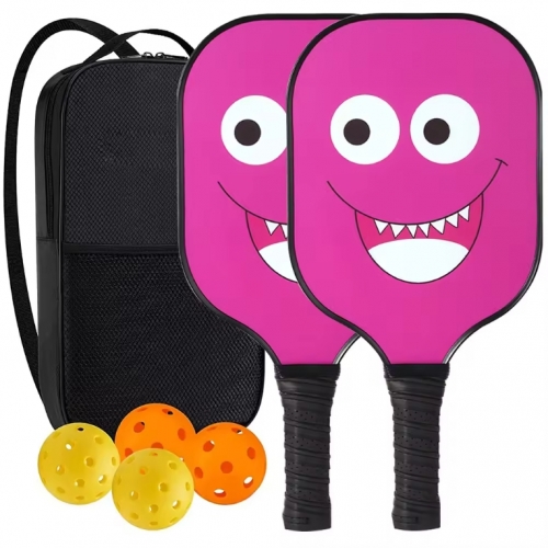 Customized PP Honeycomb Glass Fiber Pickleball Paddle Set with Balls for Family Entertainment